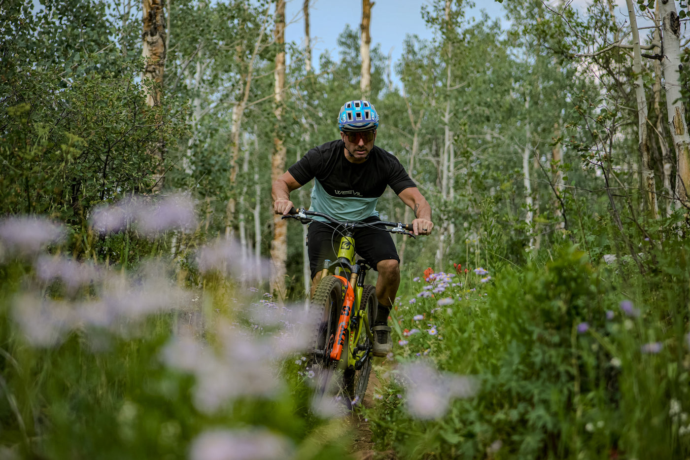 Merino Magic: The Wool You Can't Resist