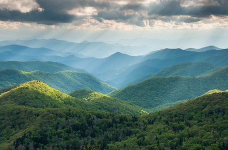 Gear That Gives – Supporting Pisgah Forest Conservation