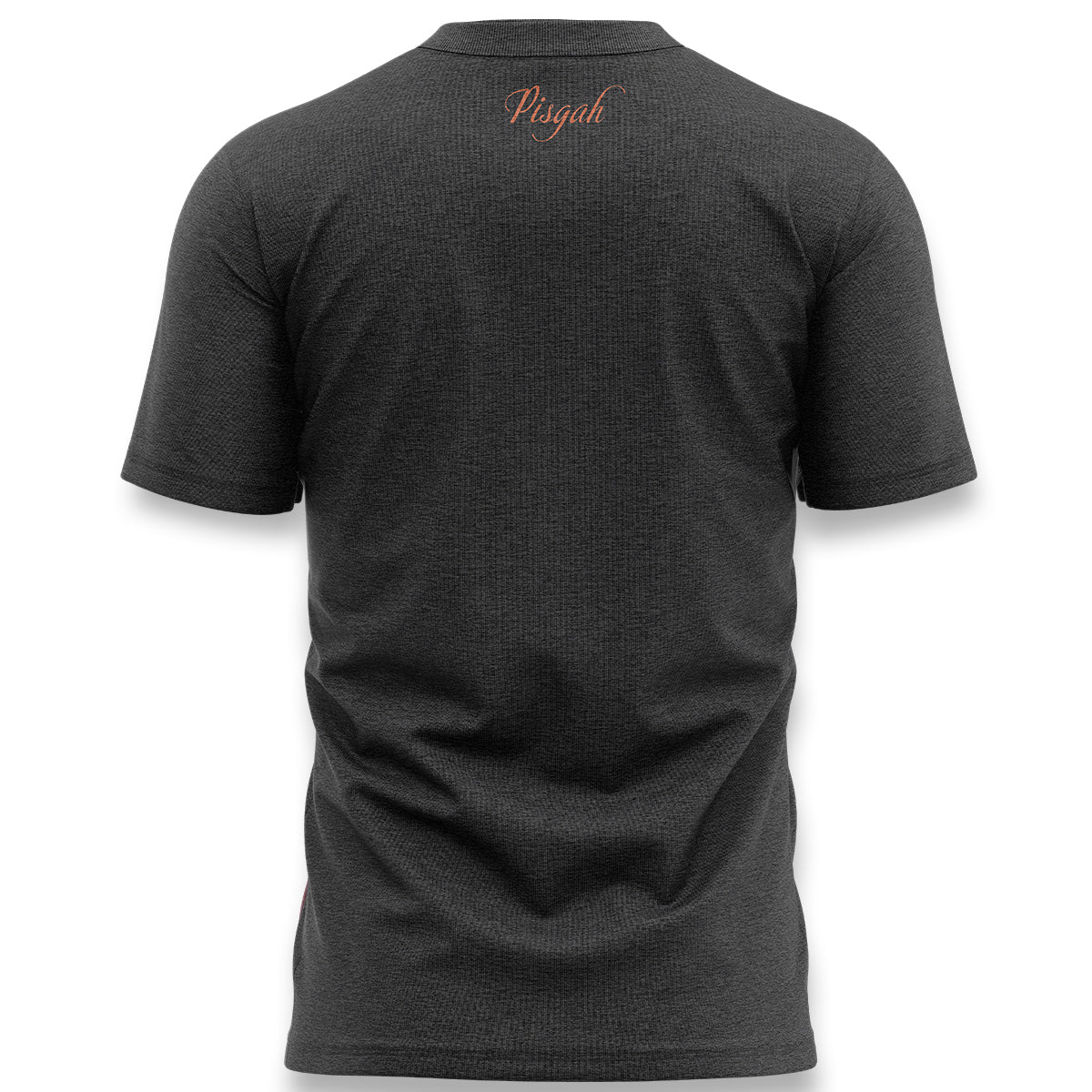 BENNETT GAP  T // CHARCOAL