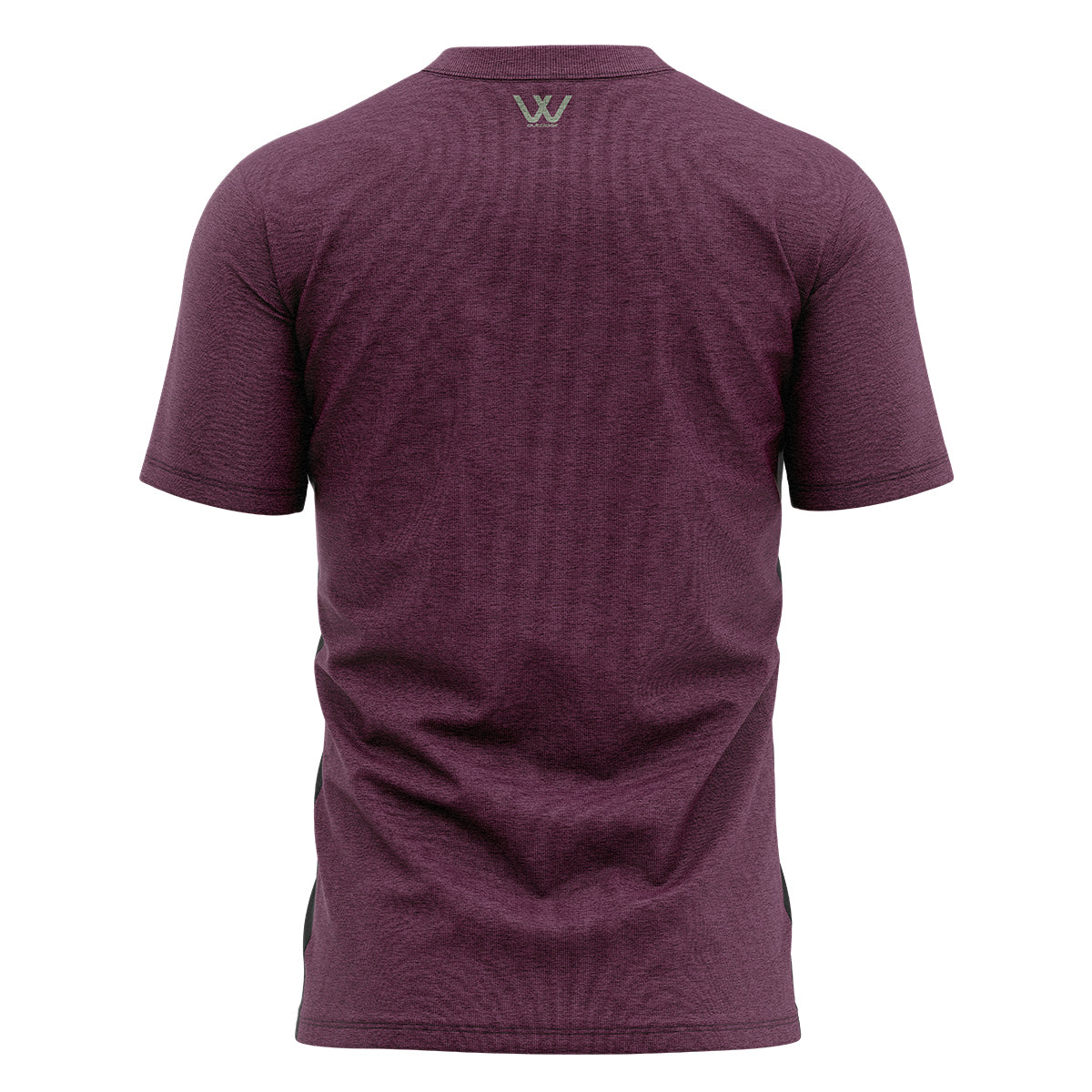 PROVEN IN PISGAH // EVERYTHING TEE
