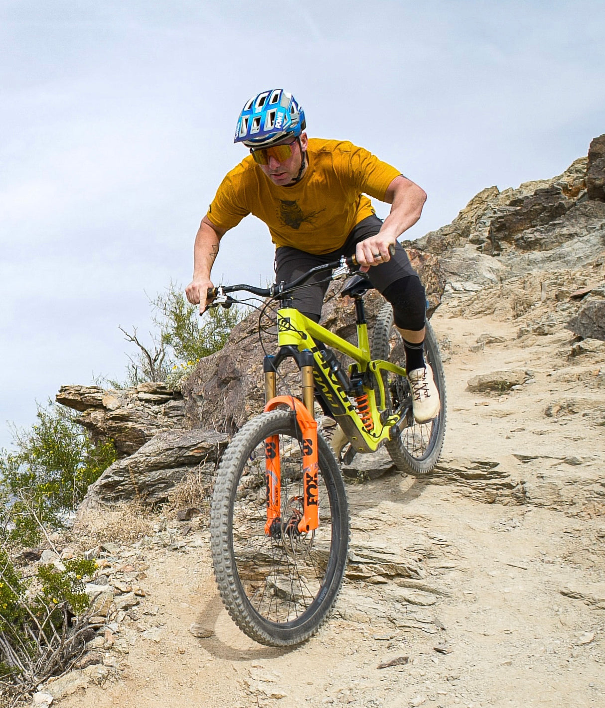 WISE OWL TEE // MERINO BLEND