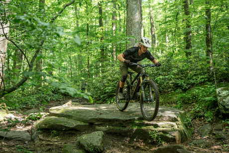 Pisgah Tested Favorites
