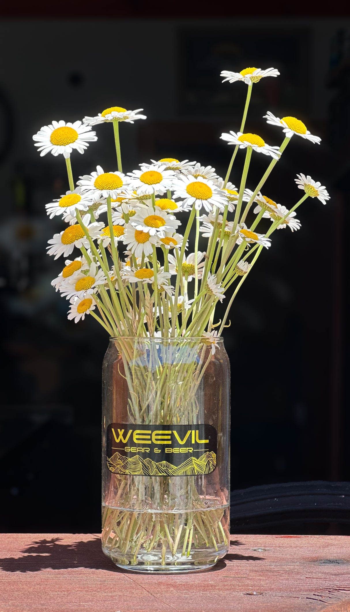 Weevil Can Pint Glass